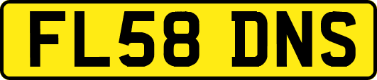 FL58DNS