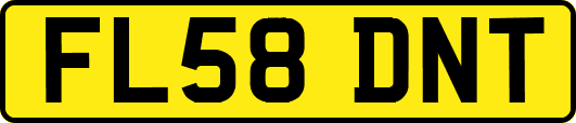 FL58DNT