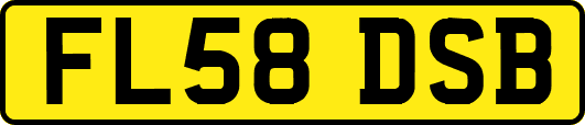 FL58DSB