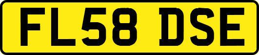 FL58DSE