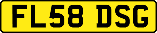 FL58DSG