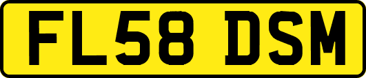 FL58DSM
