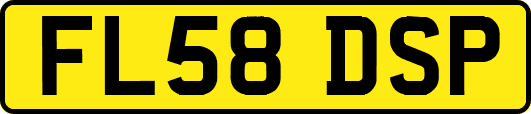 FL58DSP