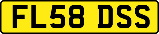 FL58DSS