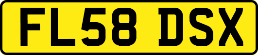 FL58DSX