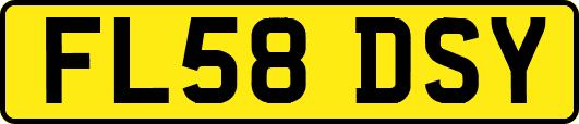 FL58DSY