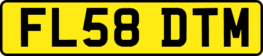 FL58DTM