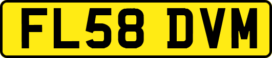 FL58DVM