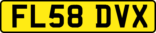 FL58DVX