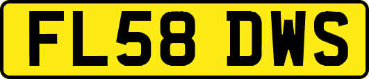 FL58DWS
