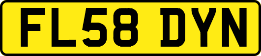 FL58DYN