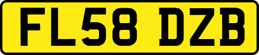 FL58DZB