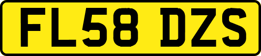FL58DZS