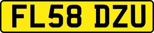 FL58DZU