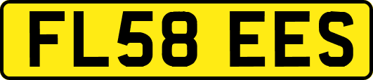 FL58EES