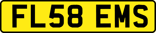 FL58EMS