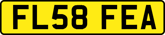 FL58FEA
