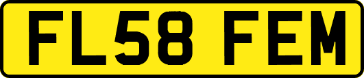 FL58FEM