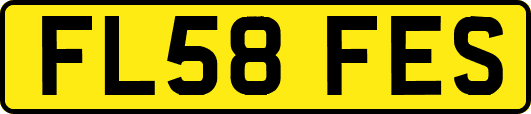FL58FES