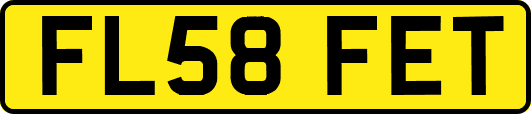 FL58FET