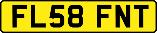 FL58FNT