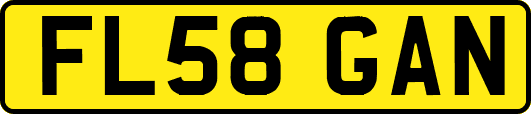 FL58GAN