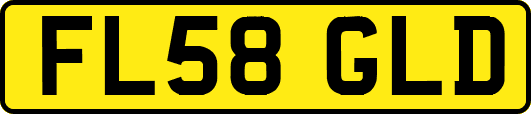 FL58GLD