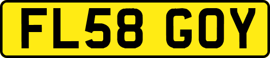 FL58GOY