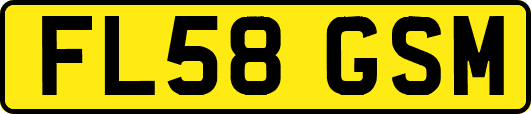 FL58GSM