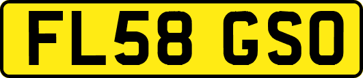FL58GSO