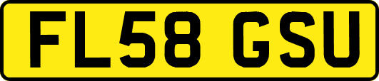 FL58GSU