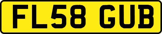 FL58GUB