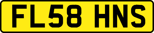 FL58HNS