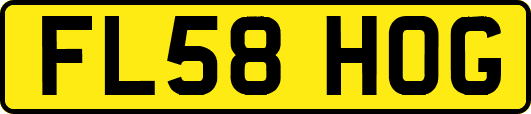FL58HOG
