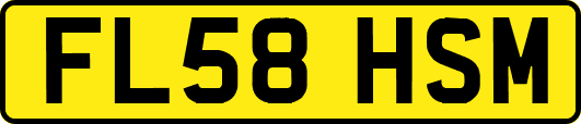 FL58HSM