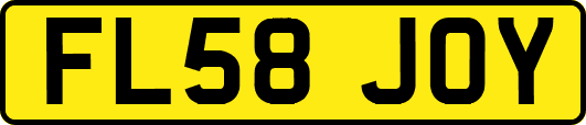 FL58JOY