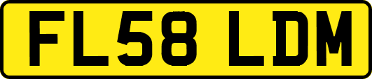 FL58LDM
