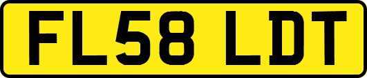 FL58LDT
