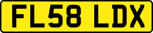 FL58LDX