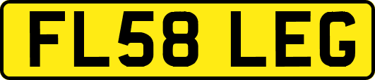 FL58LEG
