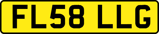 FL58LLG