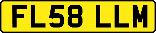 FL58LLM