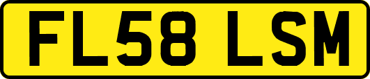 FL58LSM