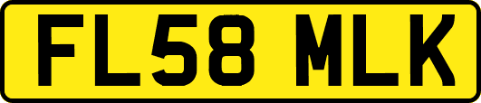 FL58MLK