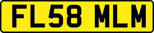 FL58MLM