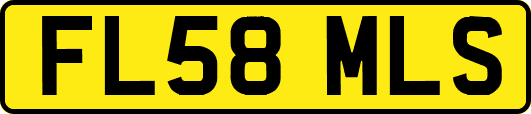 FL58MLS