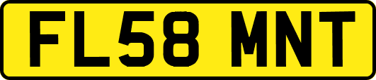 FL58MNT