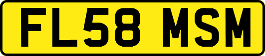 FL58MSM