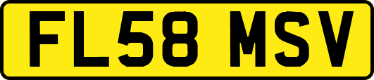 FL58MSV