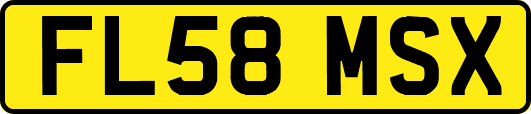 FL58MSX
